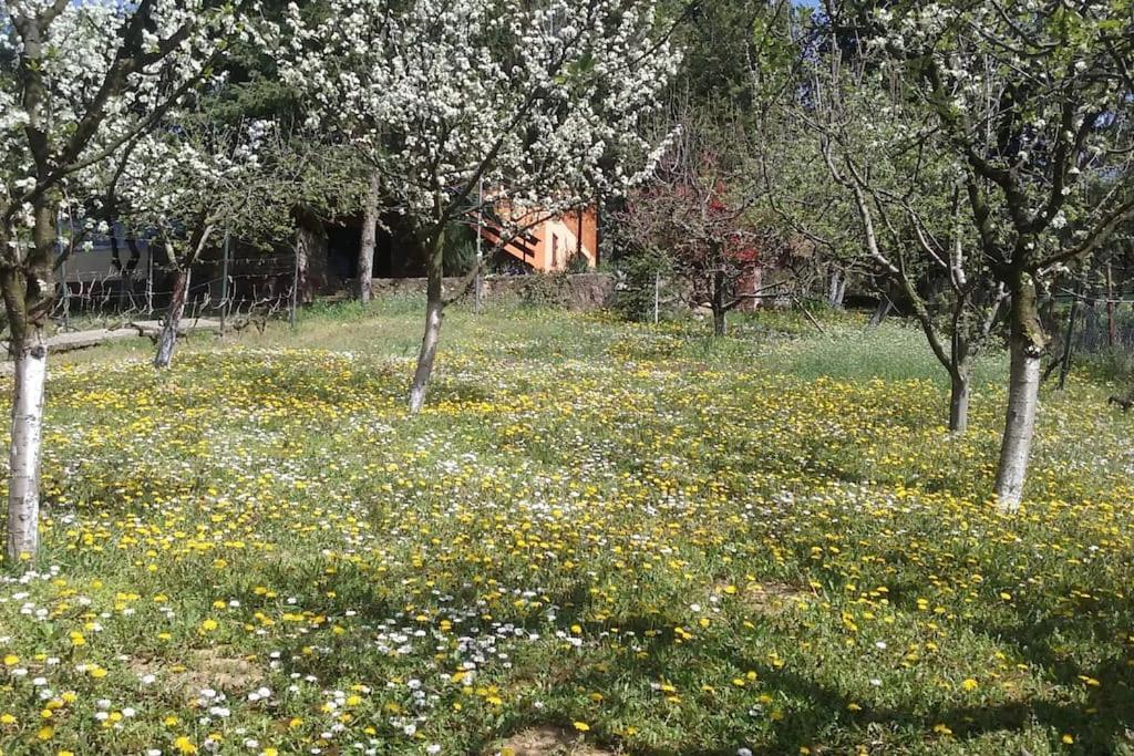 Happy House Villa Velika Remeta Buitenkant foto